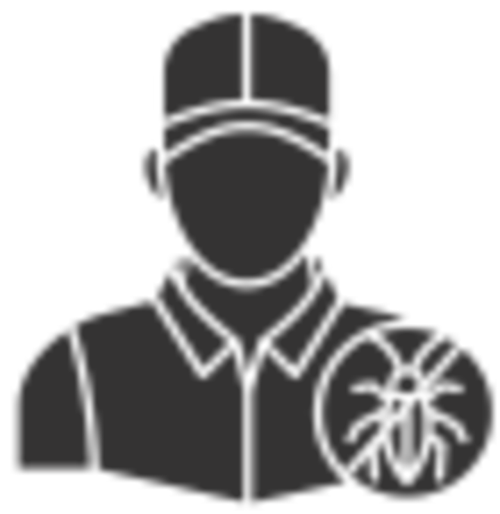 Silicon Beach Termite Removal Experts